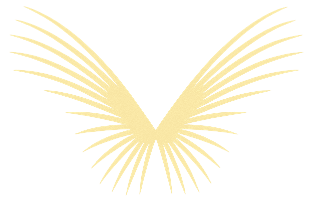 Jo Estetisk Glow — logo